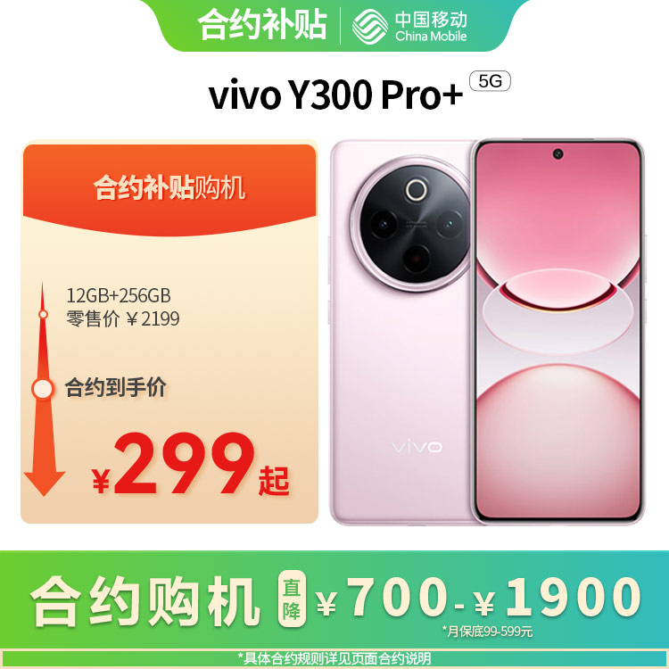 vivo Y300 Pro+5G全网通权益版